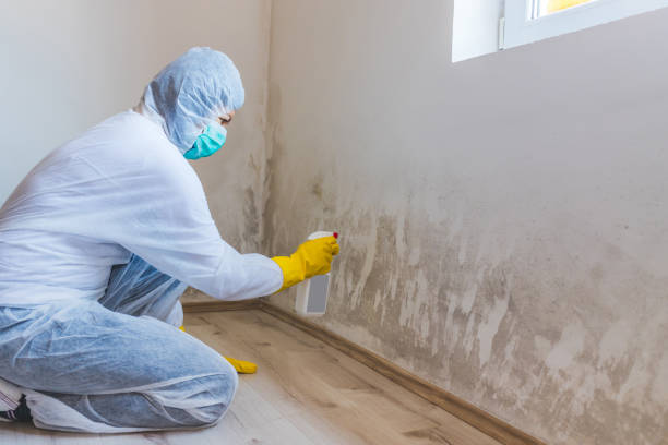 Mold Remediation specialist working in Glenwood